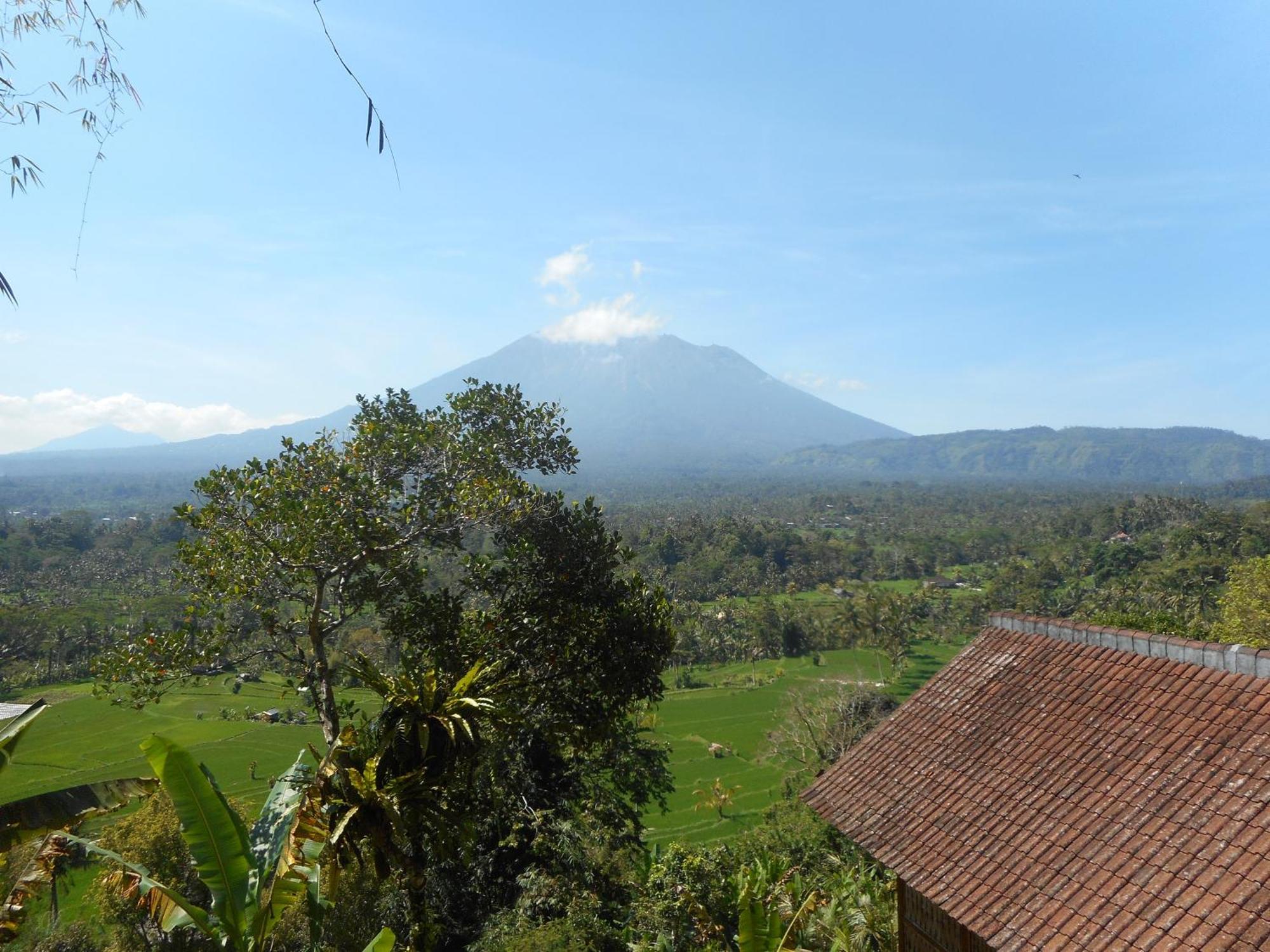 Villa Dukuh Selat Exterior foto